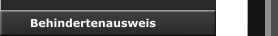Behindertenausweis