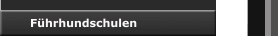 Führhundschulen