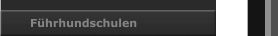 Führhundschulen