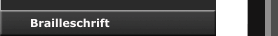 Brailleschrift